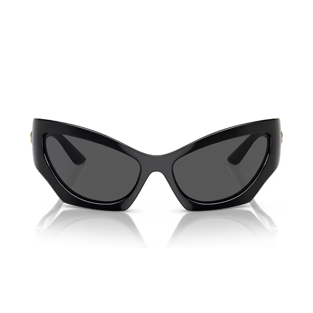 Versace Sunglasses | Model 0VE4450