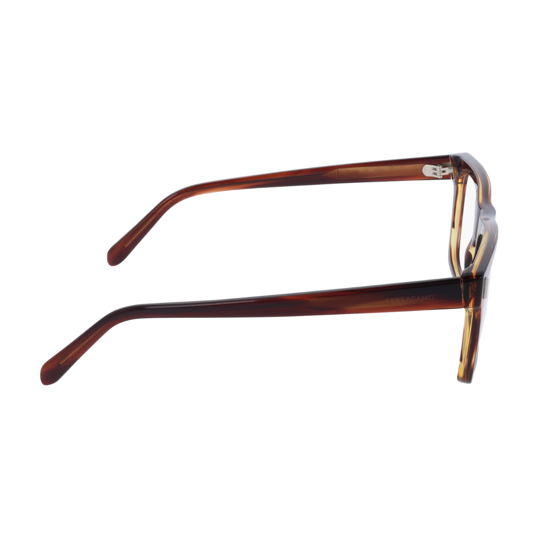 Lunettes Salvatore Ferragamo | Modèle SF3029