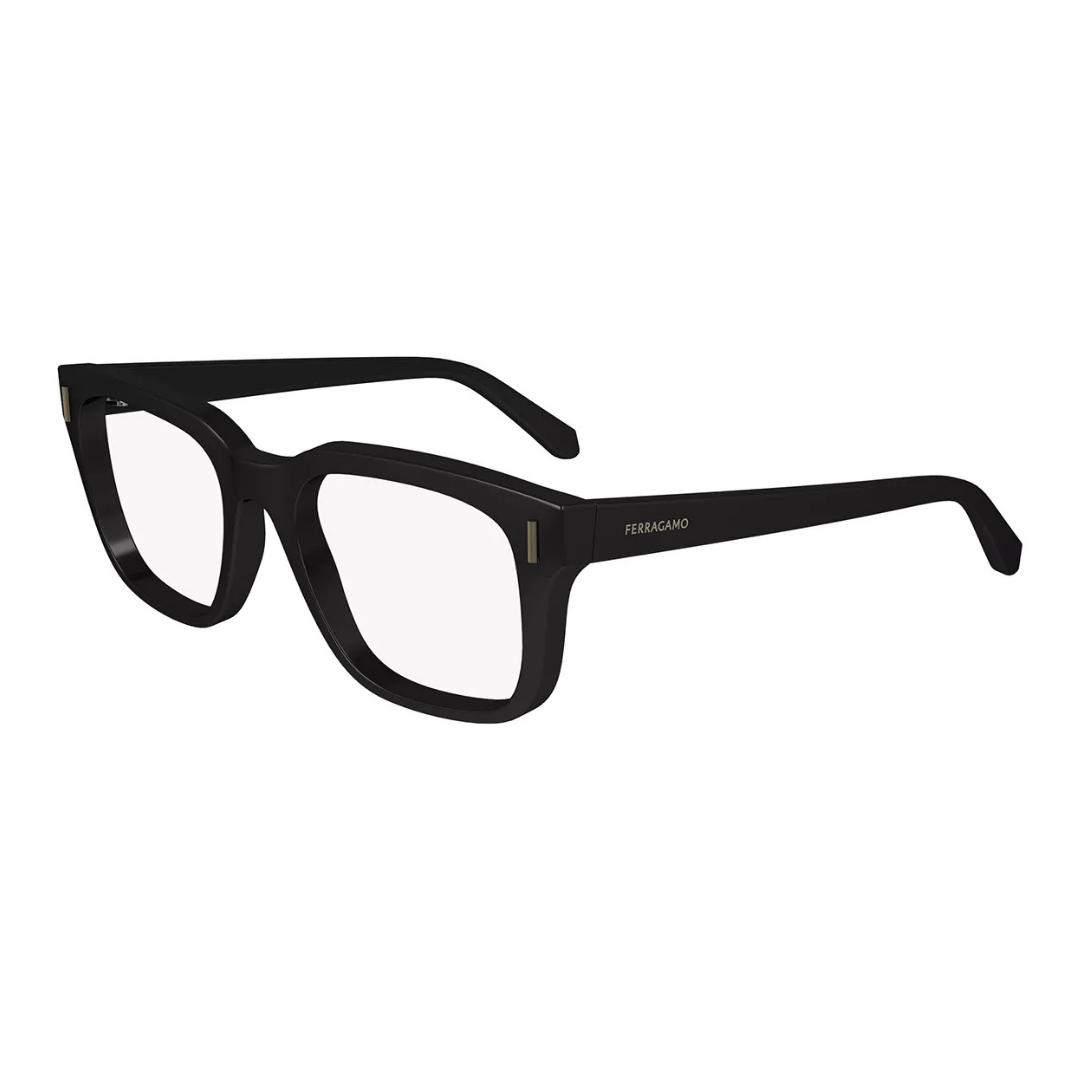 Salvatore Ferragamo Eyewear | Model SF2996
