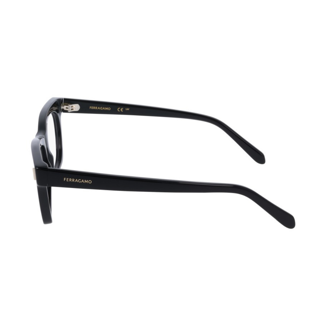 Lunettes Salvatore Ferragamo | Modèle SF3025