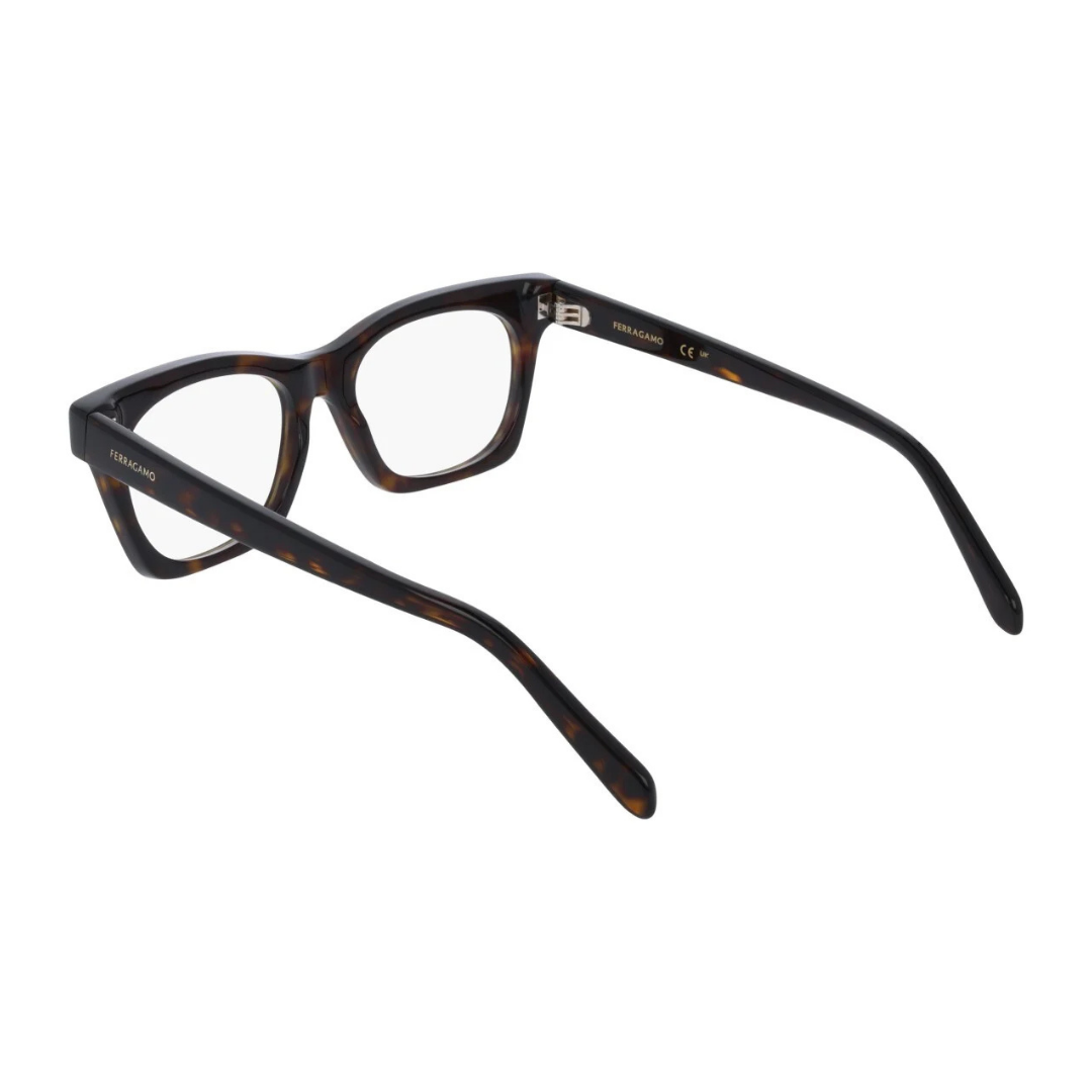 Lunettes Salvatore Ferragamo | Modèle SF3025