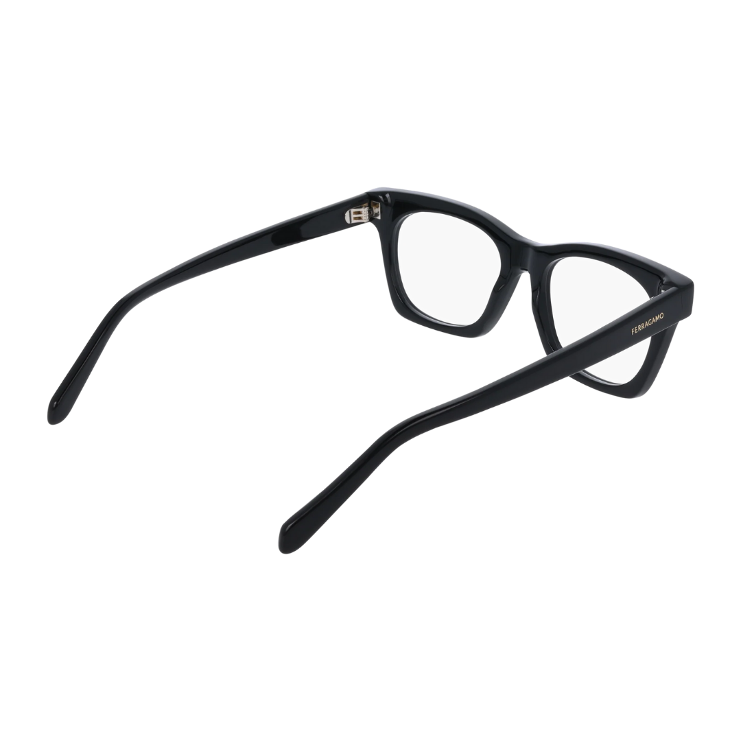 Lunettes Salvatore Ferragamo | Modèle SF3025