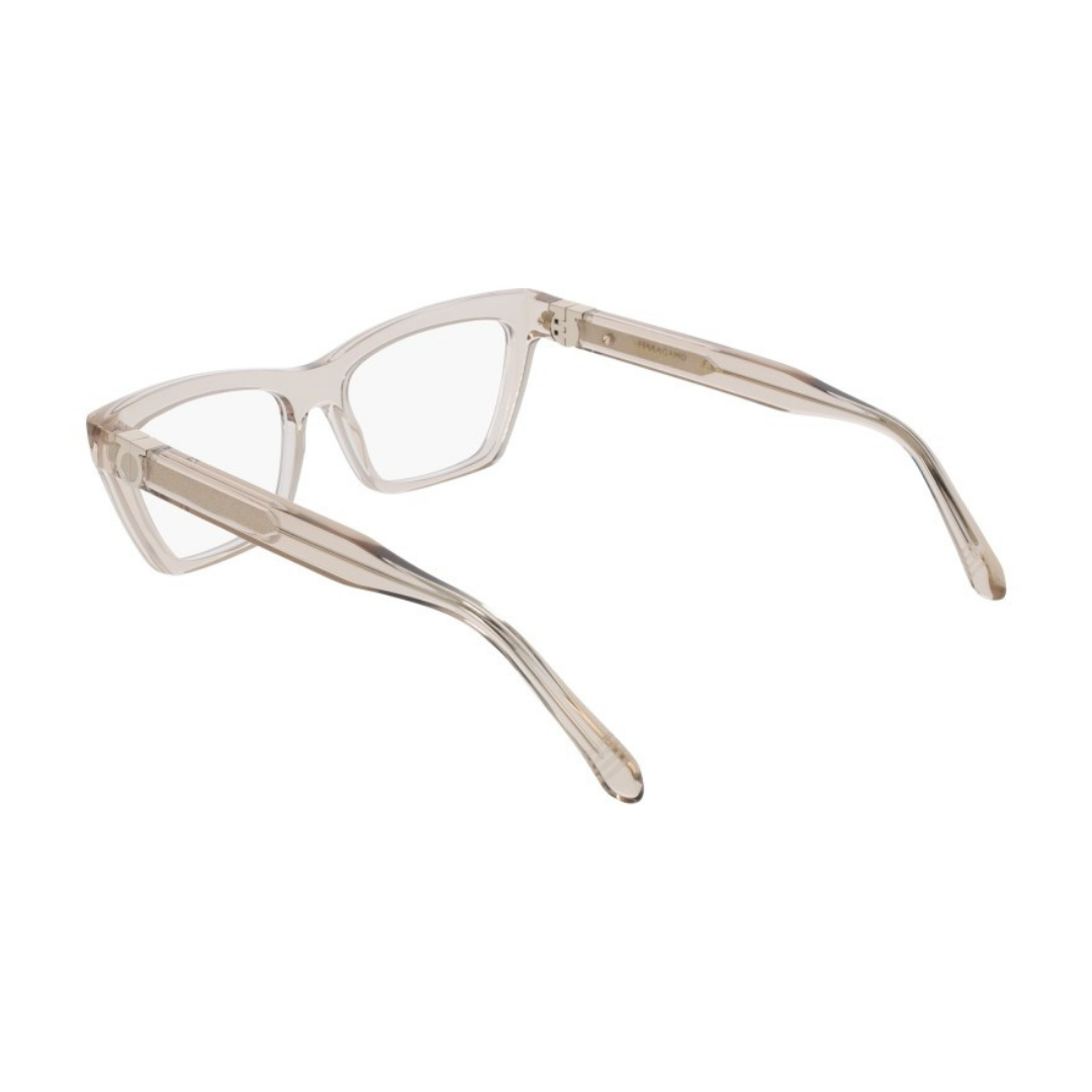 Lunettes Salvatore Ferragamo | Modèle SF3021