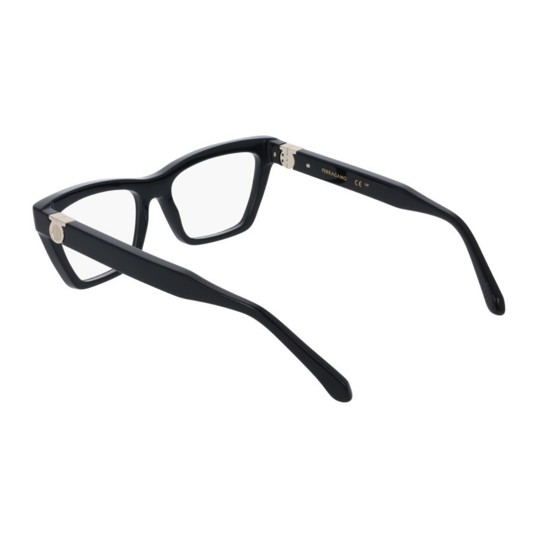 Lunettes Salvatore Ferragamo | Modèle SF3021