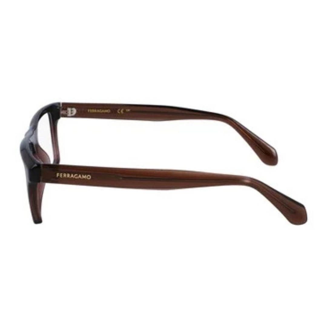 Lunettes Salvatore Ferragamo | Modèle SF2988