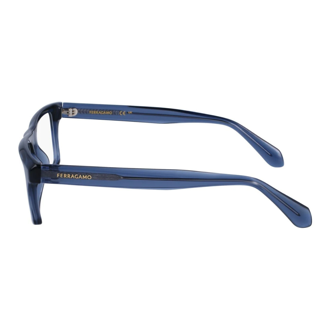 Lunettes Salvatore Ferragamo | Modèle SF2988