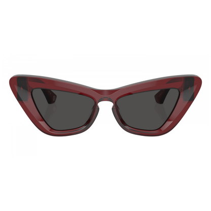 Burberry Sunglasses | Model 0BE4421U
