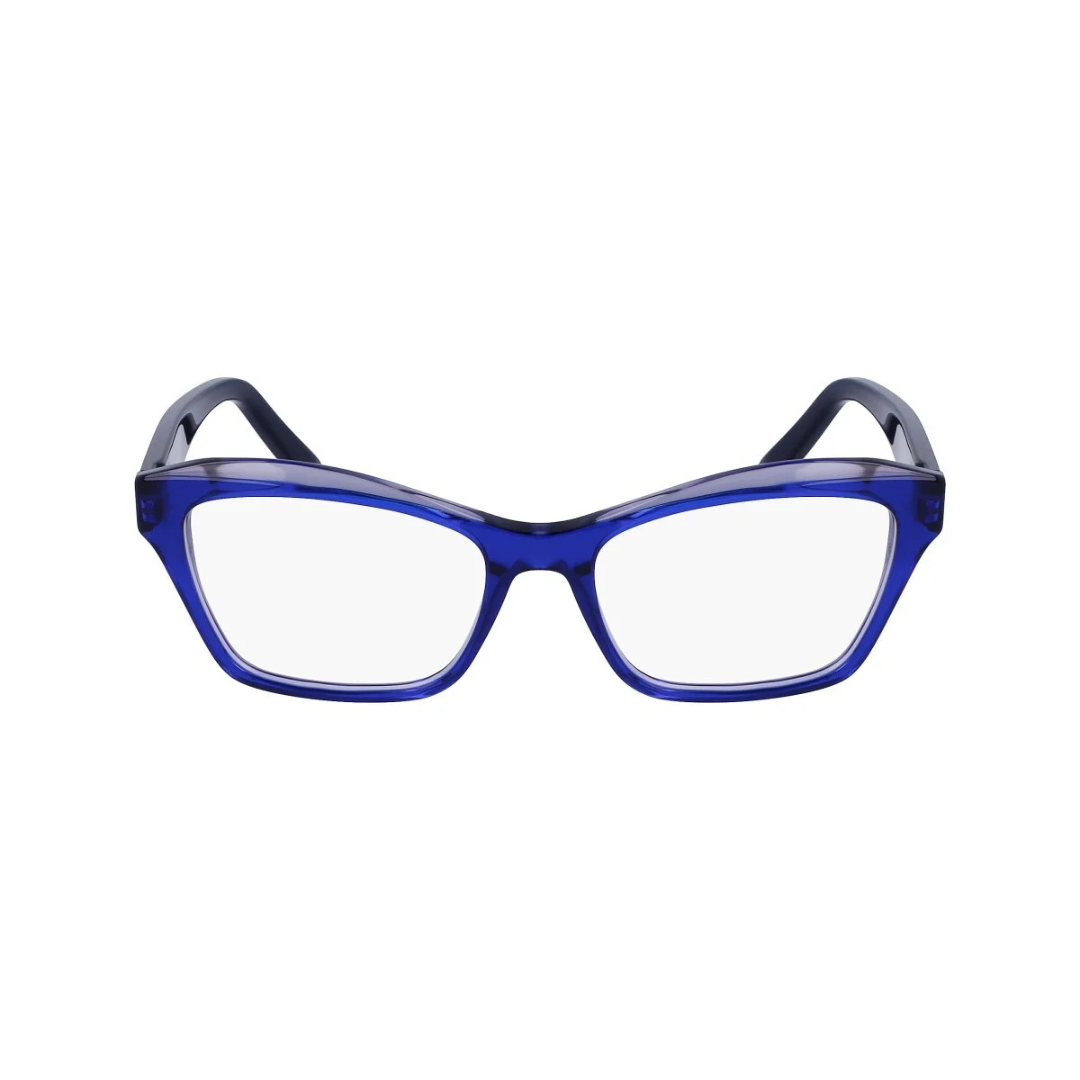 Lunettes Salvatore Ferragamo | Modèle SF2951