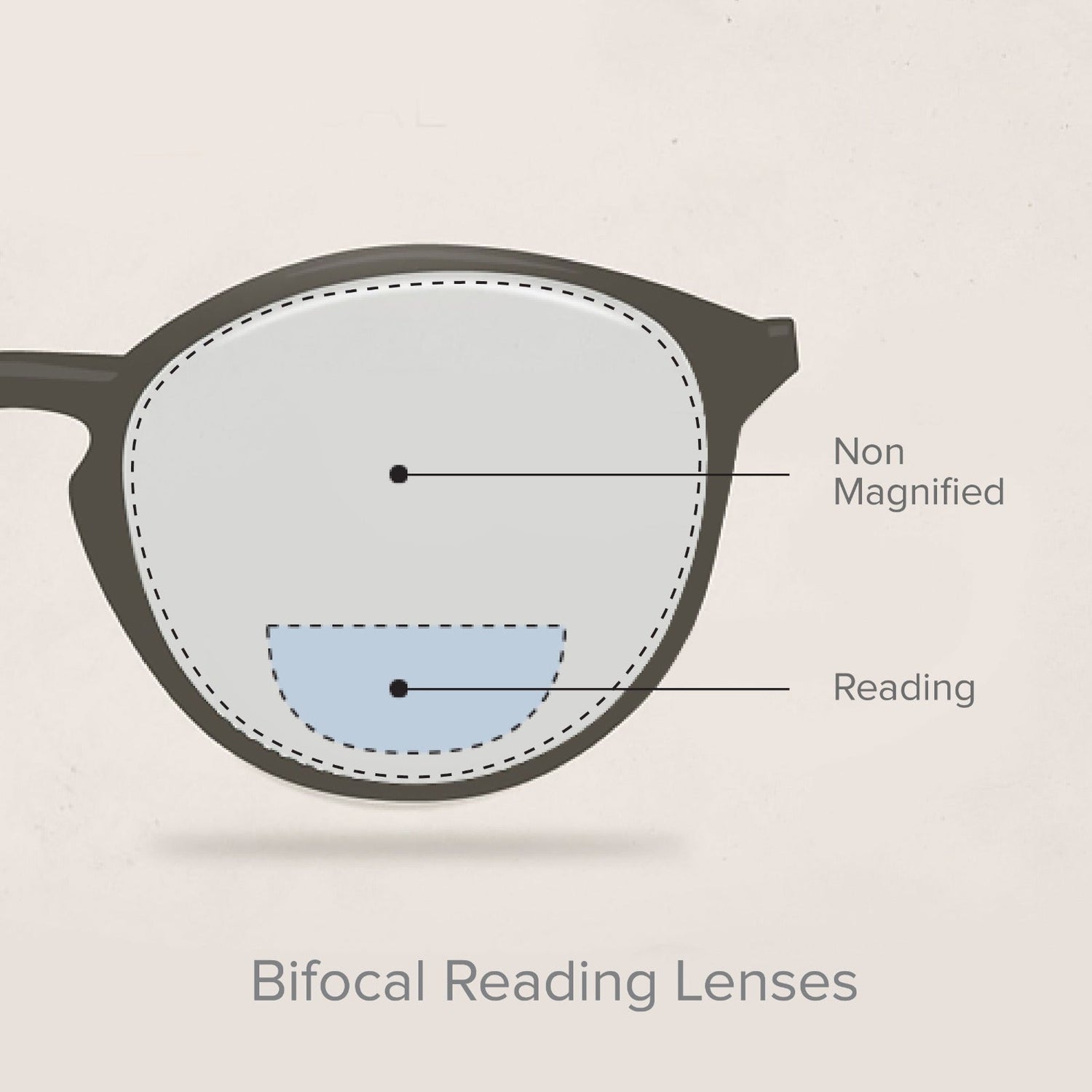 19_add-on Step 4 (Bifocals Types)